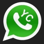 YC WhatsApp